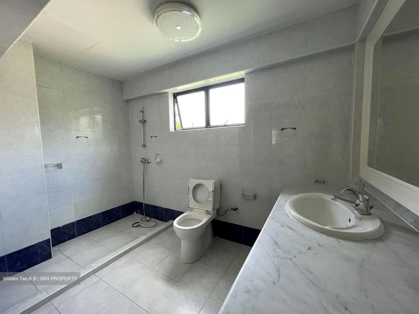 The Ambience (D19), Detached #581228621